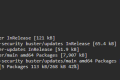docker容器内部执行apt-get install vim报:unable to locate package vim