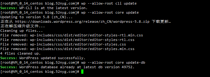 WordPress Cli 手动命令行更新版本